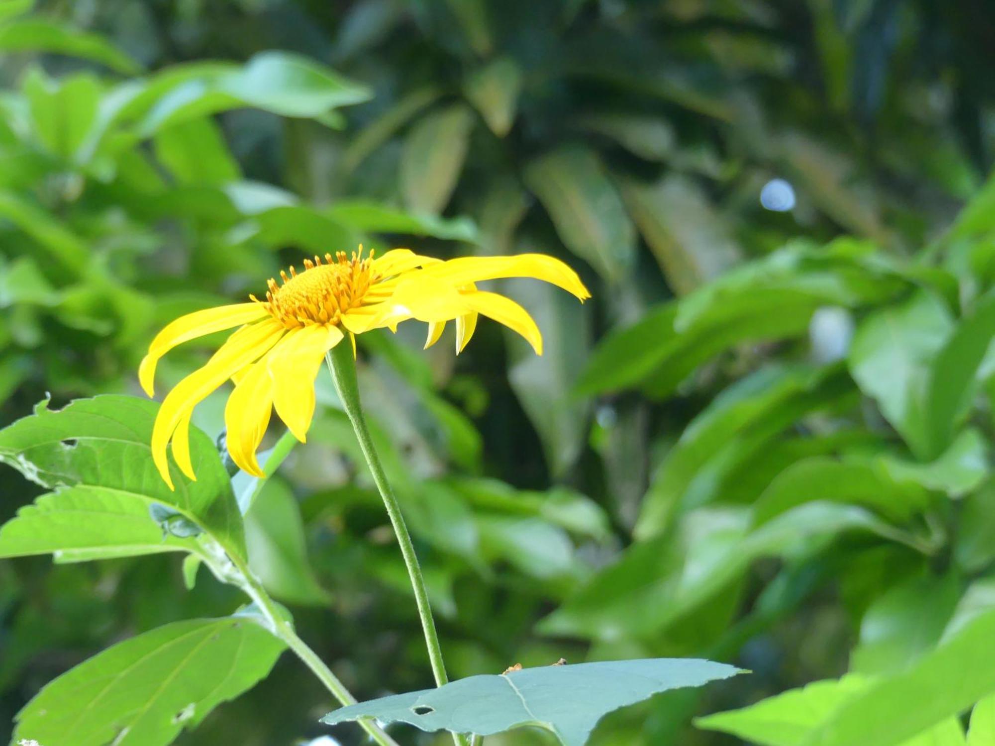Mano Verde ミンカ エクステリア 写真