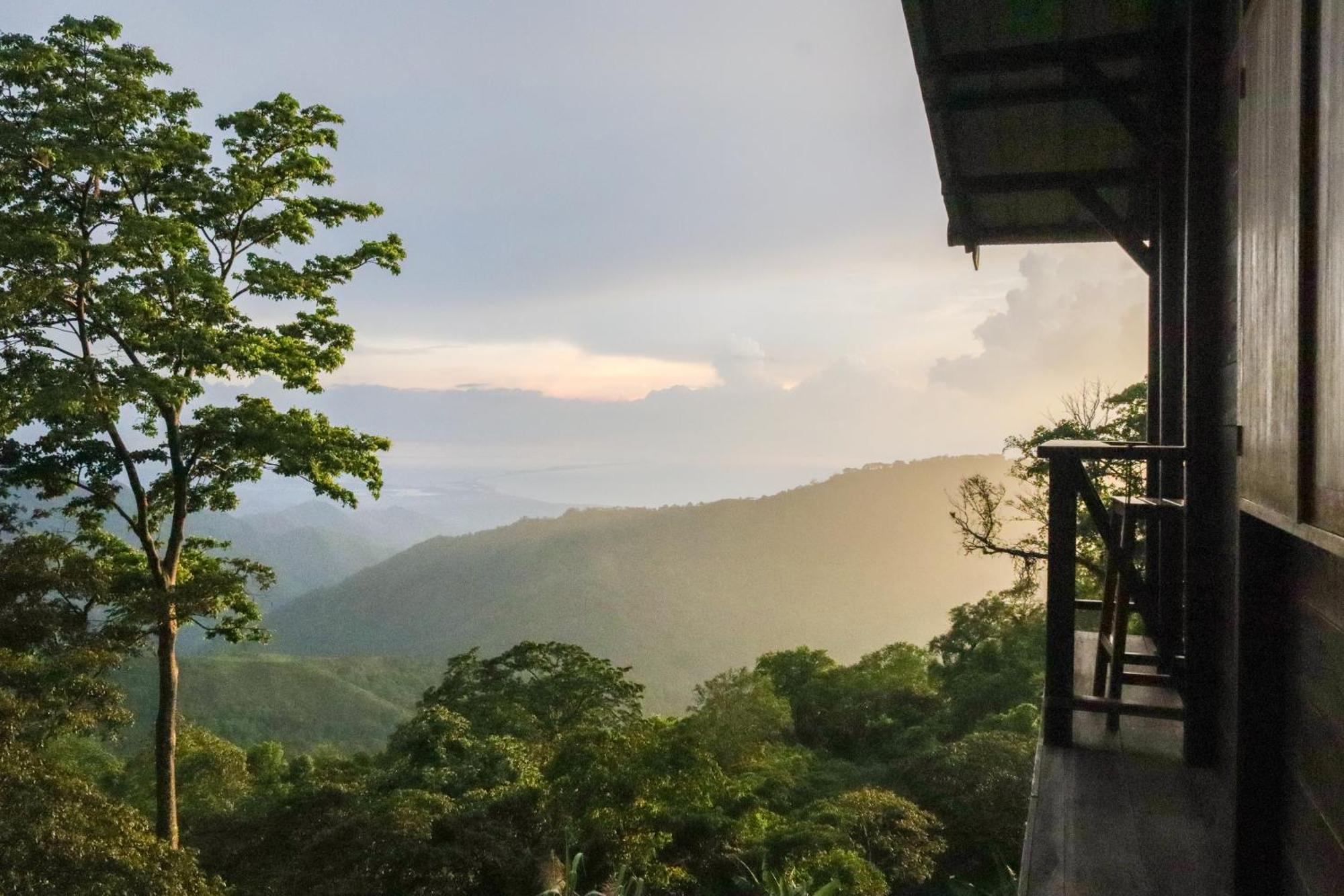 Mano Verde ミンカ エクステリア 写真